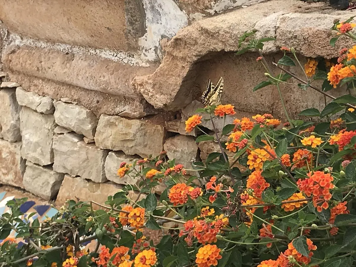 סן ויטו לו קאפו Villa Di Maria