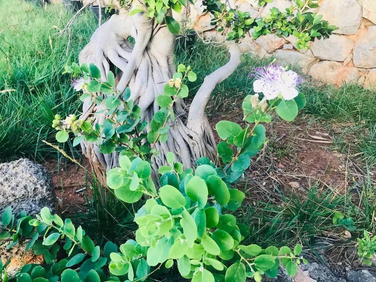 Villa Di Maria San Vito Lo Capo